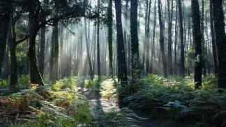 21563327890_de62316688_k_0