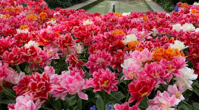 Diaporama du projet &laquo;&nbsp;nature&nbsp;&raquo;