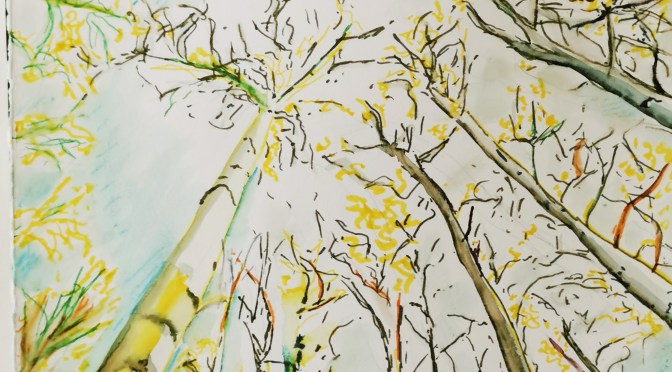 Dates de début des ateliers – Saison 2024-2025