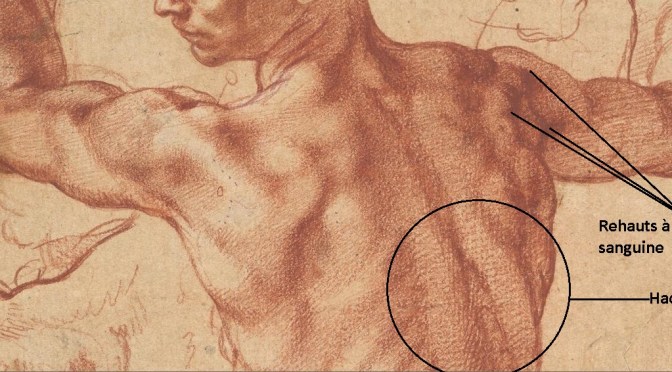 Séance à thème de dessin d&rsquo;après modèle vivant (nu masculin) – 29 janvier 2025